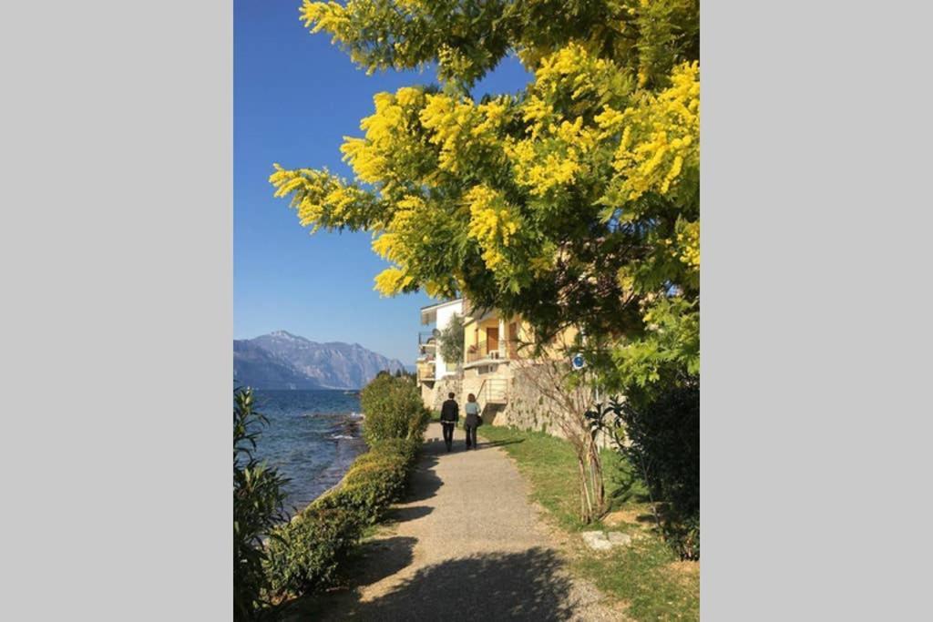 Villa Francesca-Grande Appartamento In Riva Al Lago Бренцоне-суль-Гарда Экстерьер фото